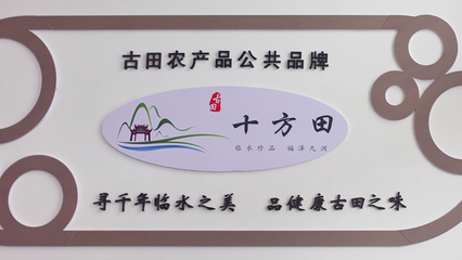 走進“食用菌之都” 探秘“互聯網+”時代下的產業新貌